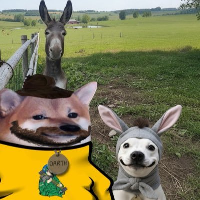 bathdawg's profile picture.
