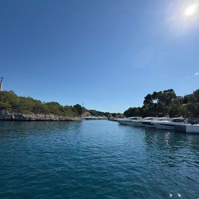 silvio902571411's profile picture. 