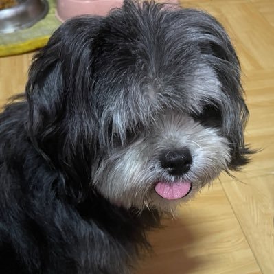 iecanseeyou's profile picture. 🏳️‍🌈🇵🇭🇦🇪🌸💜🤍☀️🌙✨Wonderful✨Playgirlz✨Sone✨Golden Star✨Blink✨Sooya✨JKR✨🦮LingKwong✨🦋OrmKorn✨🤍🦜Abu Chicken Kwong✨🔜 Udon Kwong 🐶✨