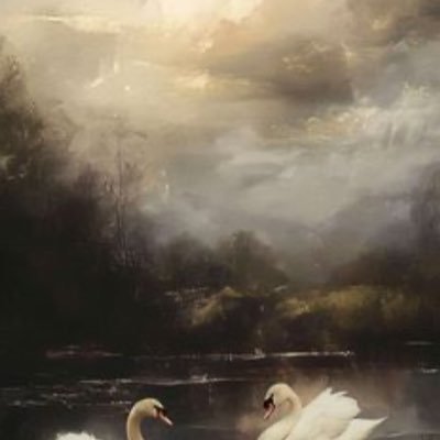 qxxiila's profile picture. 