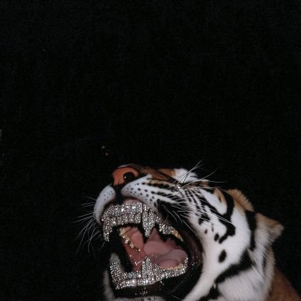 degenBET3's profile picture. only you can save you!!!