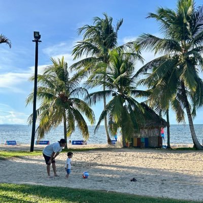 jocsanochoa's profile picture. 