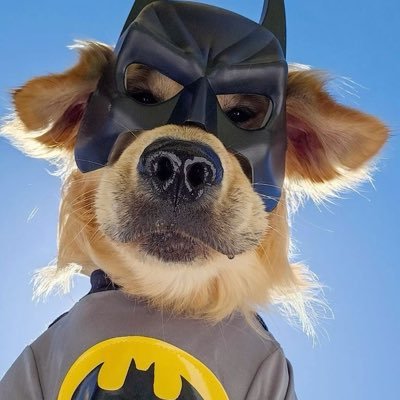 ELMEJORNISTERIO's profile picture. 