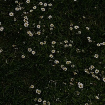 joggobrokenjai's profile picture. 