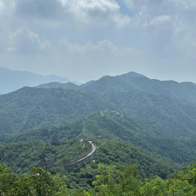 allatonce1337's profile picture. 