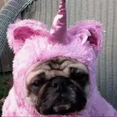 luhswef's profile picture. 🍈🍈🍈🍈🍈🍈🍈🍈
https://t.co/0AWWQK5B9M