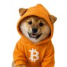 jacobbetford's profile picture. Bet ~~ #XRP #BTC #RUNES $DOG