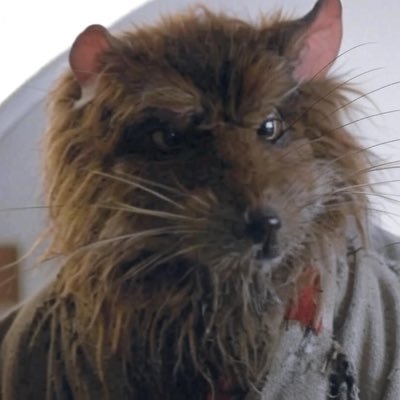 WolfteverRR's profile picture. Old Man River from Wolftever