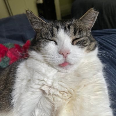 bethross101's profile picture. Instagram @starseedps