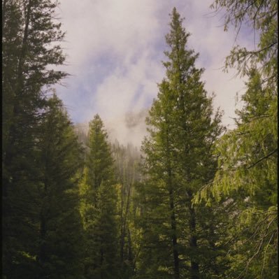 BENZEEEEE's profile picture. 