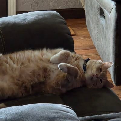 Northwynd147's profile picture. Granblue, Shadowverse and other games in general, I remade my account to clean things up in general. I'm quiet, don't post often, but maybe one day. We go again