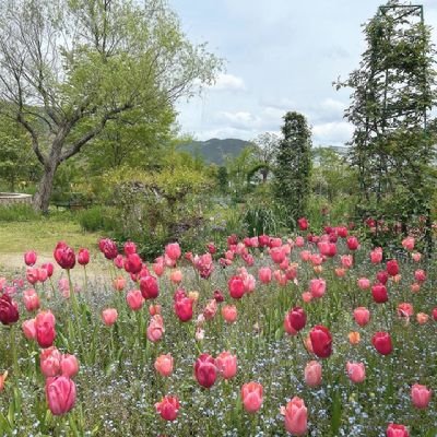 qkjdjx's profile picture. 