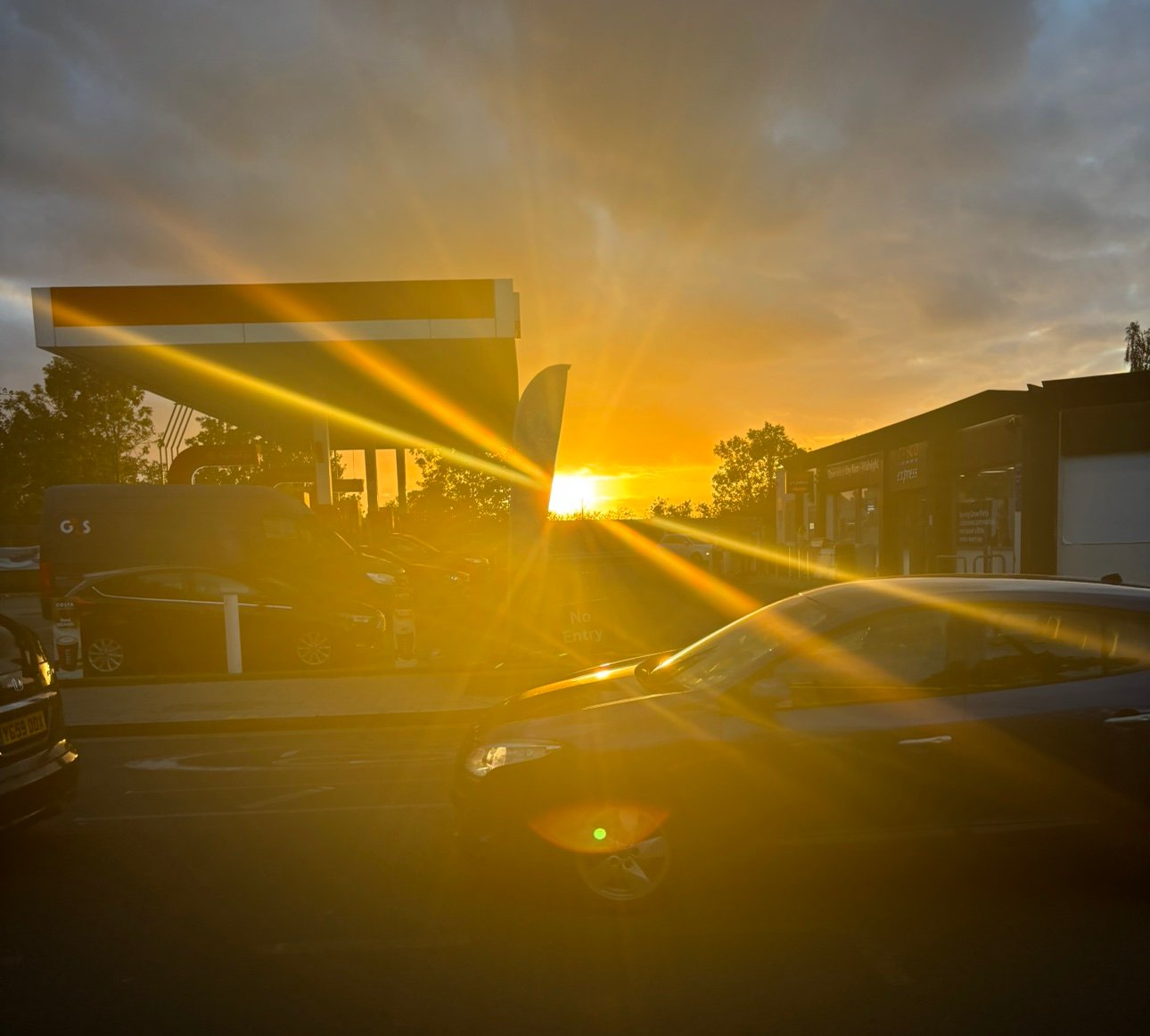 mkzzzx3's profile picture. 