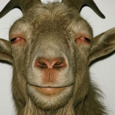 haywenzo's profile picture. in a state of superposition