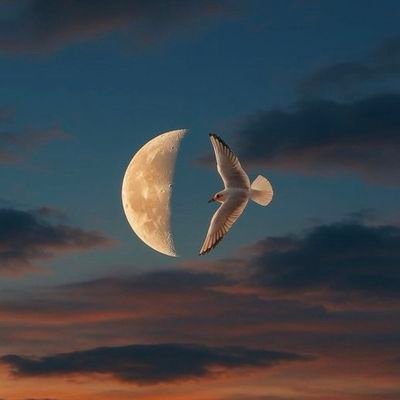 EksAdonis's profile picture. Dank, wholesome, relatable, dark, and be like bro.