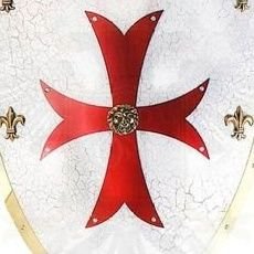 GlobalistasNO's profile picture. 🇮🇱 🇪🇸 🇯🇵
Soy simpatizante de Iustitia Europa, Vox o similares y soy wokefobo y hitlerfobo. 
#AntisemitismoEsNazismo