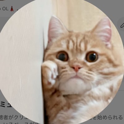 cobmim's profile picture. 日常の記録🤍👩🏻‍💻🗼📷🛩️💍