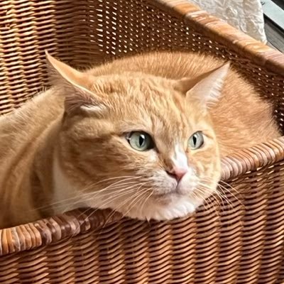 ぽんぽこ様♡4月オーダー用 Z@端末 (@zunok2) / Posts / X