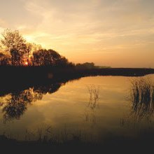 birds_lake's profile picture.