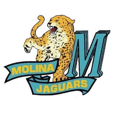 Molina_Jaguars's profile picture. Moises E. Molina High School
Strategic Priorities: High Student Achievement, High Quality Instruction, School Pride&Spirit 

Jaguar Pride....Is The Molina Way!