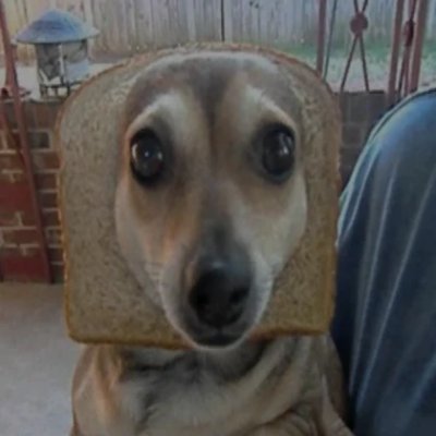 scott_joaco's profile picture. 