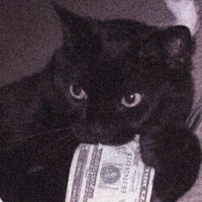 zenicx999's profile picture. Fulltime Shitcoiner | Forever Unprofitable 🥀