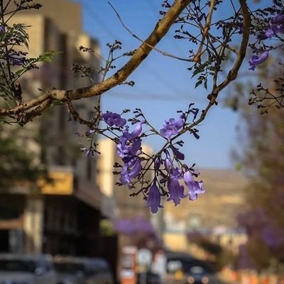 Nahla7bdelAziz's profile picture. 20/11🪐
  https://t.co/NHiTMx6fy5