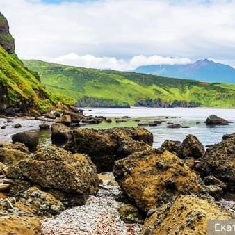 VZaharuski31498's profile picture. 