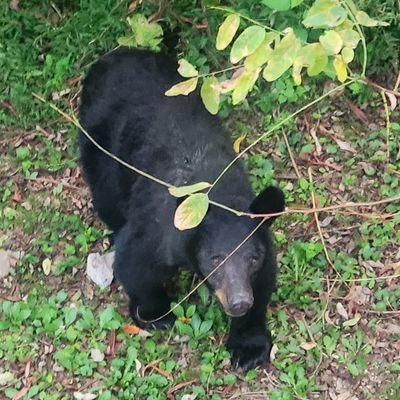 missymame's profile picture. 