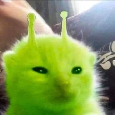pluviasa's profile picture. a mad scientist who loves to yap about his day, stars, and rain.