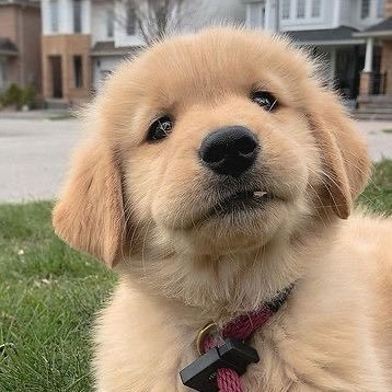 mommam_9's profile picture. 