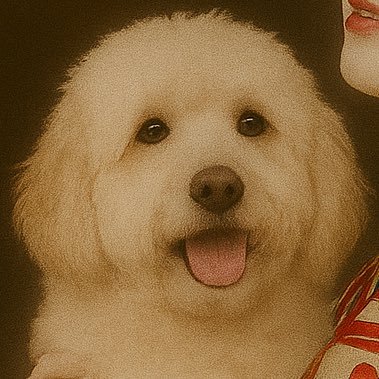 amoi8888's profile picture. 日本神話と神道大好きな日本人/グローバリズムからの日本回帰🎌/DM見ない/犬笛聞かない/平成産