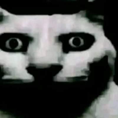 zorastalker's profile picture. Crypto is relative