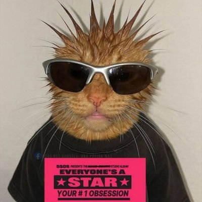 Fer_sykes34's profile picture. I'm not okay.