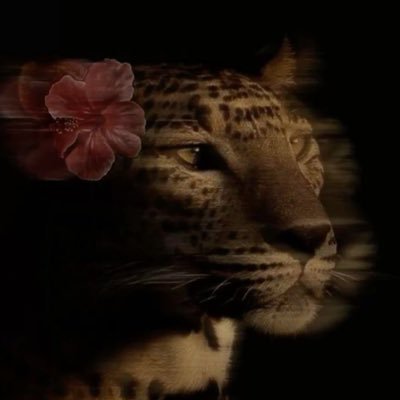 rvw1i's profile picture. #IMSIU❤️