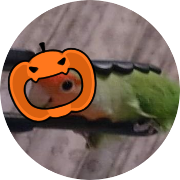 to_be_onna's profile picture. 굳세어라 온나여