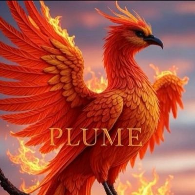 hung_manh40124's profile picture. #SomniaNetwork 🍊,💊 Plume Goon