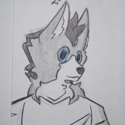 moshi_wolf's profile picture. ☕🐺