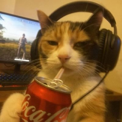 fuumando's profile picture. 
