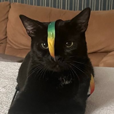 Korneen_'s profile picture. 25 | 🇵🇭✨| Streamer | Affiliate 🫶🏽|