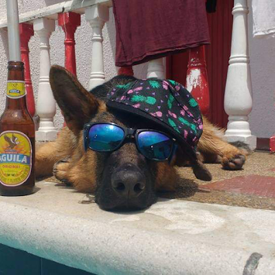 YeffersonO93964's profile picture. 