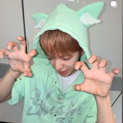 decentusername1's profile picture. #msnz #beatitup #sugar #白色定格 #wishlist || nctzen wav wizone 48g S2u biu maeum tele vvinie tiiikiii hi5 shawol & more!! フルッパのソウルコンサートに行きます!!!