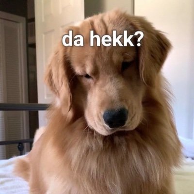 shreyosaur's profile picture. Doctor