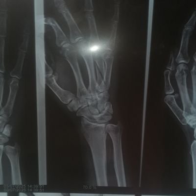 puentes_ed8434's profile picture.