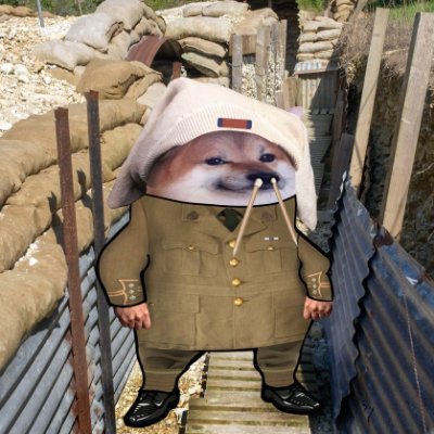 mkrck3's profile picture. The Donbas Pigeon Murderer

Communications Infrastructure Deployer by day, Historical Weapons Curator by night, Brain Damaged Cartoon Dog by fate.

#NAFO