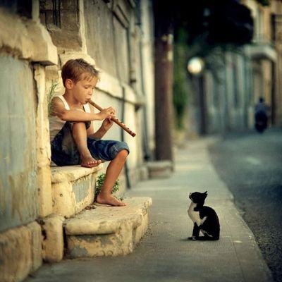 portksj's profile picture. https://t.co/hMVuDVz3XM