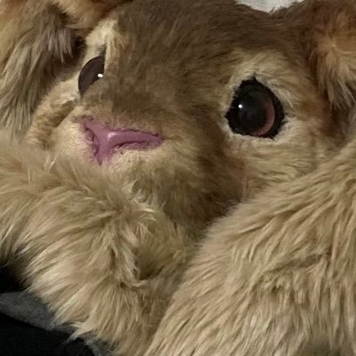mikere_rabbit's profile picture. 耳がながーいうさぎのみけれです。 四国を中心にいろんなとこにふらっと訪れます @ehimekemono 無言フォロー失礼します。フォローお気軽に✨