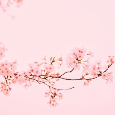 girlinteracted's profile picture. 