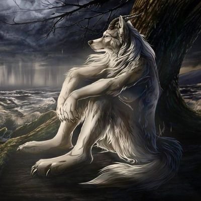 60wwoh7g's profile picture. 