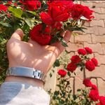 aliozturk7116's profile picture. 🎯 Yanımda kal 🕶️